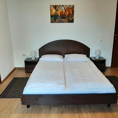 Vila Vanda Kluž Exteriér fotografie