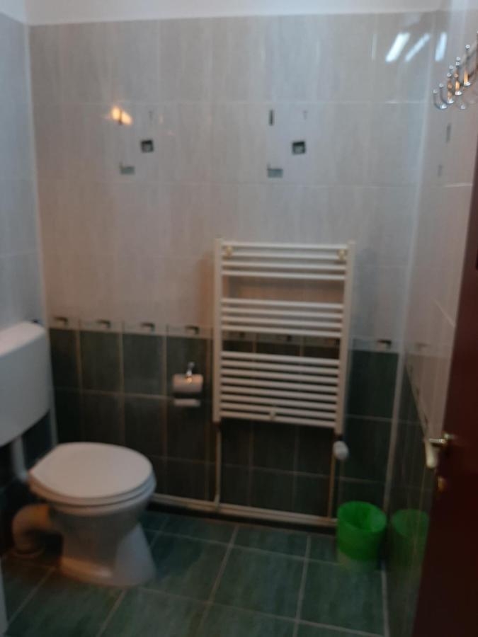 Vila Vanda Kluž Exteriér fotografie